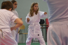 KARATE_SITO1