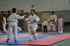 KARATE_SITO4