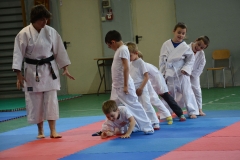 KARATE_SITO5