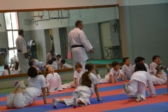 KARATE_SITO6