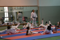 KARATE_SITO7