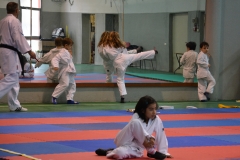 KARATE_SITO9